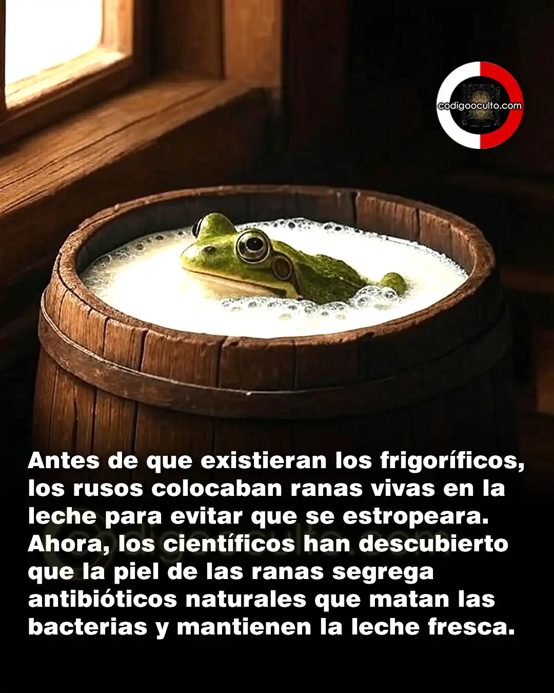Image from CODIGO OCULTO: Un antiguo remedio popular ruso que consiste en meter una rana en un c...