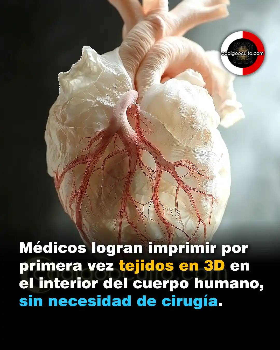 Image from CODIGO OCULTO: Un equipo de investigadores de Caltech ha logrado algo innovador: impr...