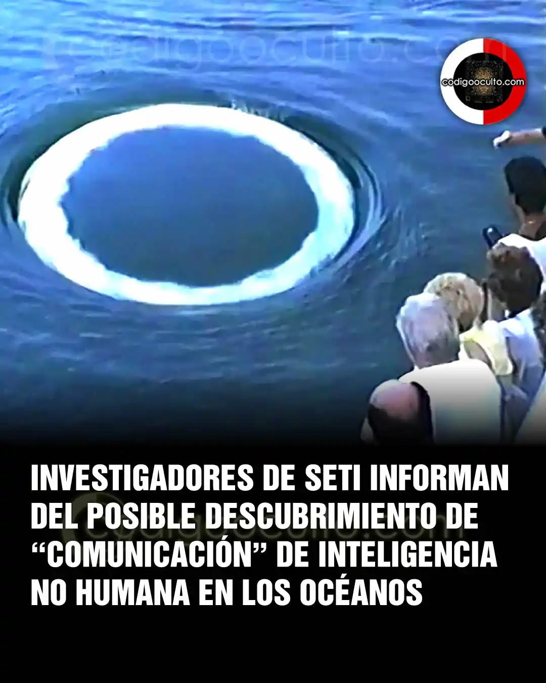 Image from CODIGO OCULTO: Un saludo, Comportamiento animal mostraría evidencia de inteligencia ...