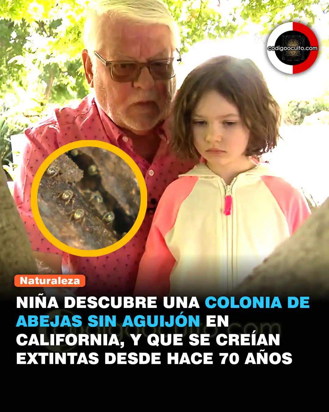 Image from CODIGO OCULTO: Un saludo, La pequeña niña llamada Annika Arnout hizo el notable desc...