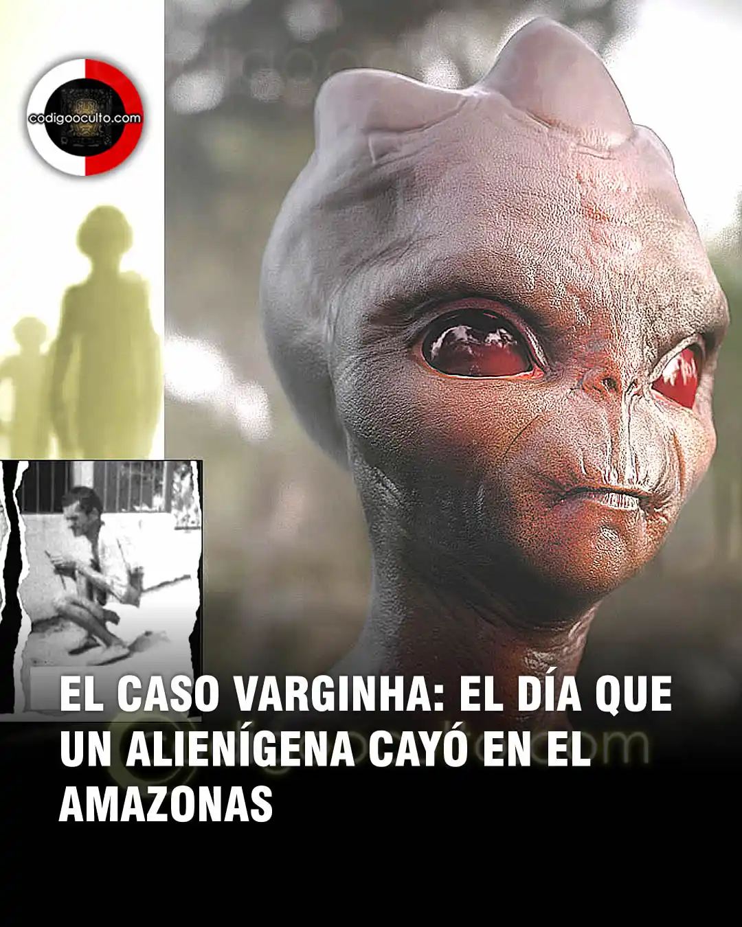 Image from CODIGO OCULTO: Un saludo, Varginha, Brasil, 1996: un ser pequeño de ojos rojos es vi...