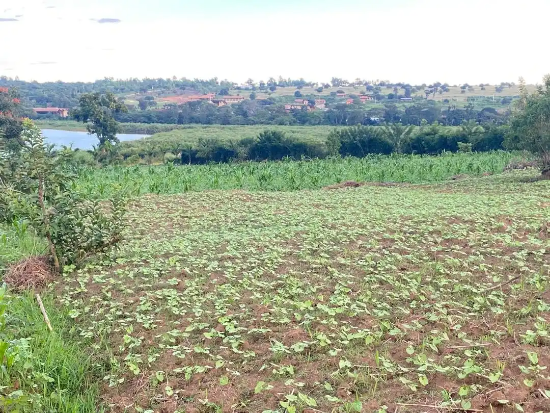 Image from House In Rwanda: 🏠Bugesera lake view land for sale in Rilima🆕 💸Price: 50,000,000 R...