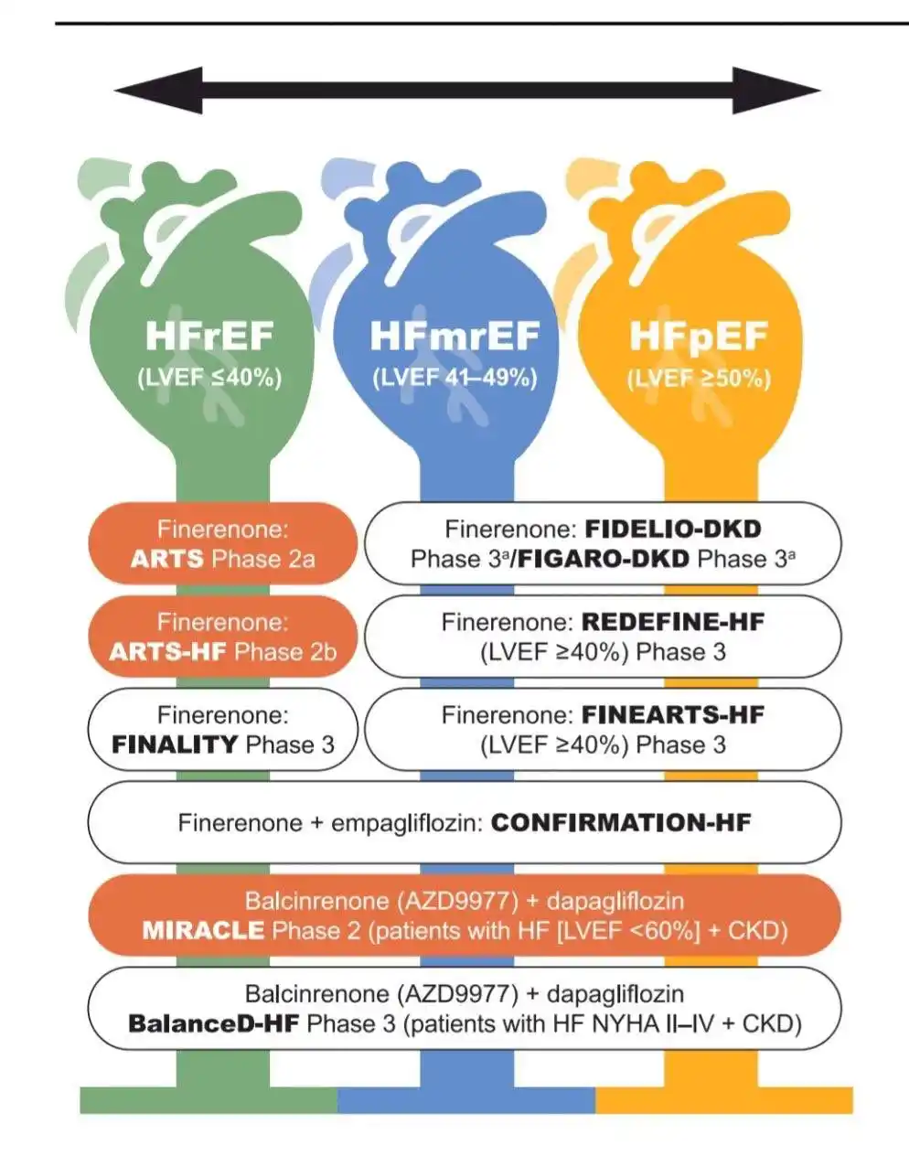 Image from Medicina Basada En Evidencia⚕️: El papel de la finerenona en el tratamiento concomitante de la diabete...