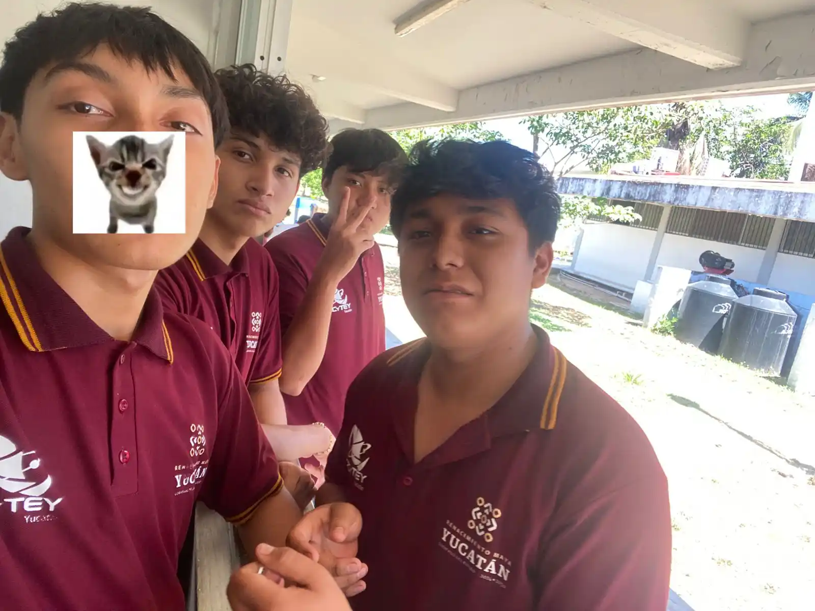 CECyTE 🥴📝💚 post