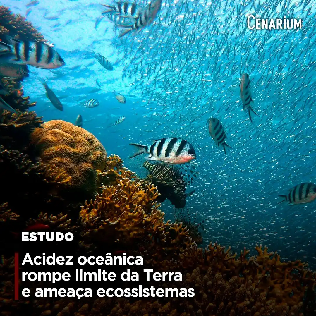 Image from CENARIUM: 🌊 *Acidez oceânica rompe limite da Terra e ameaça ecossistemas* A ac...