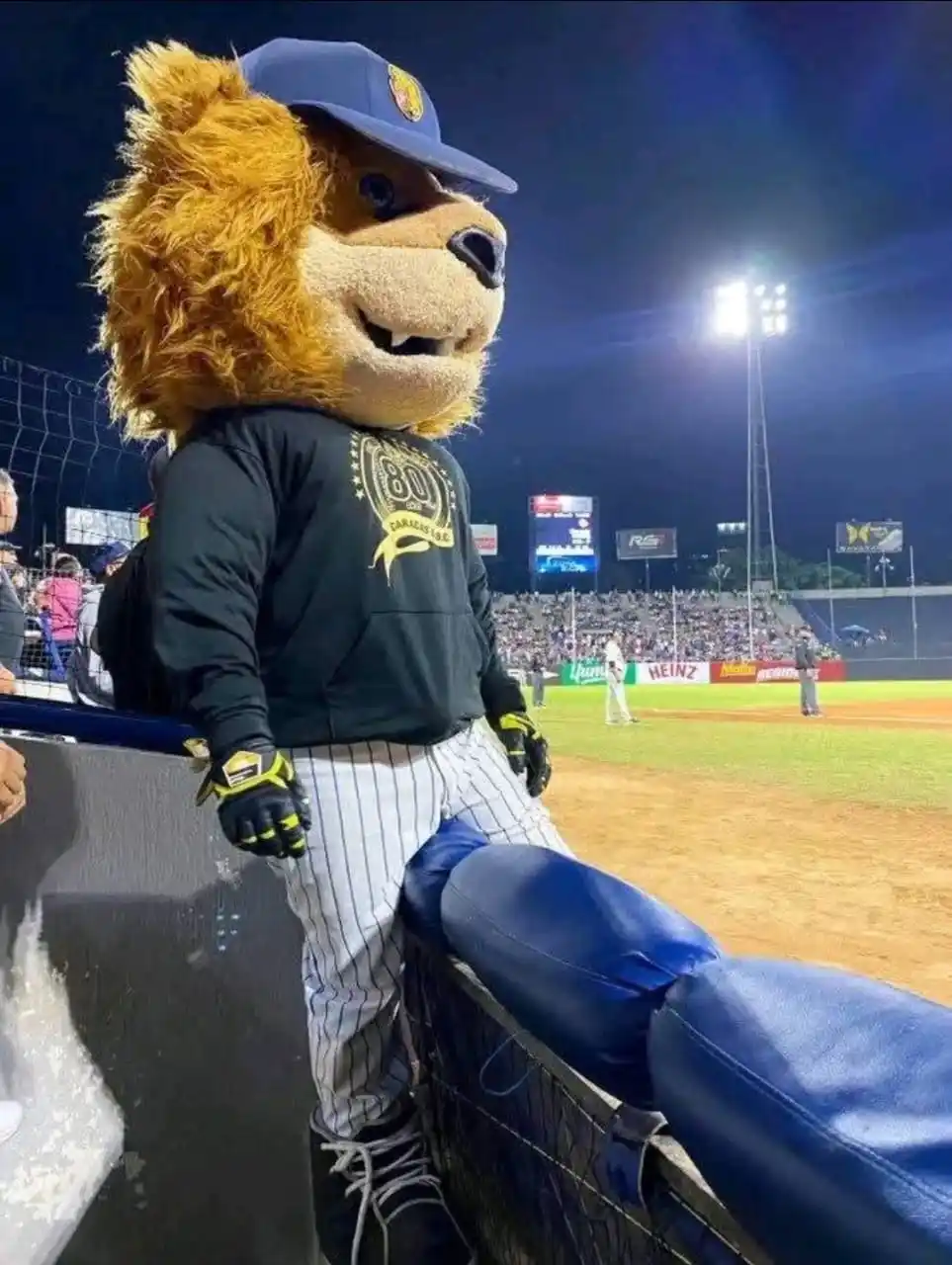 Image from Leones B.B.C ✅: El 15 de octubre es la cosa⚾🔥🦁 La LVBP tiene previsto comenzar la t...