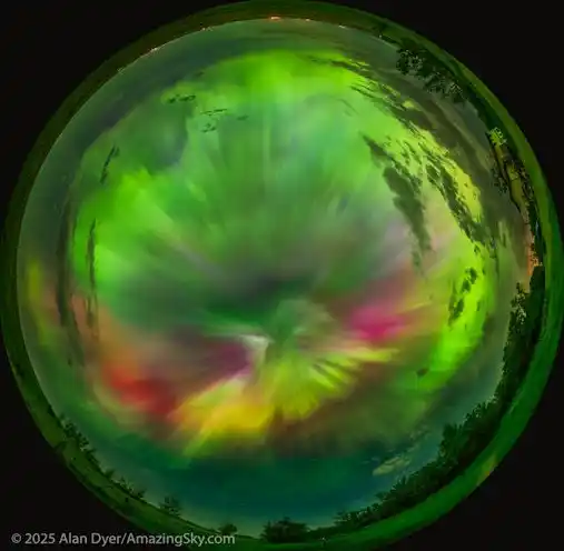 Noorderlicht 2025 (ALERTS) post