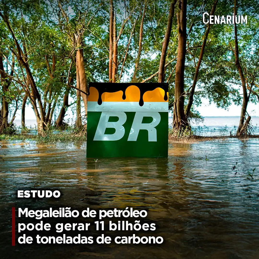 Image from CENARIUM: 💰 *Megaleilão de petróleo pode gerar 11 bilhões de toneladas de carbo...