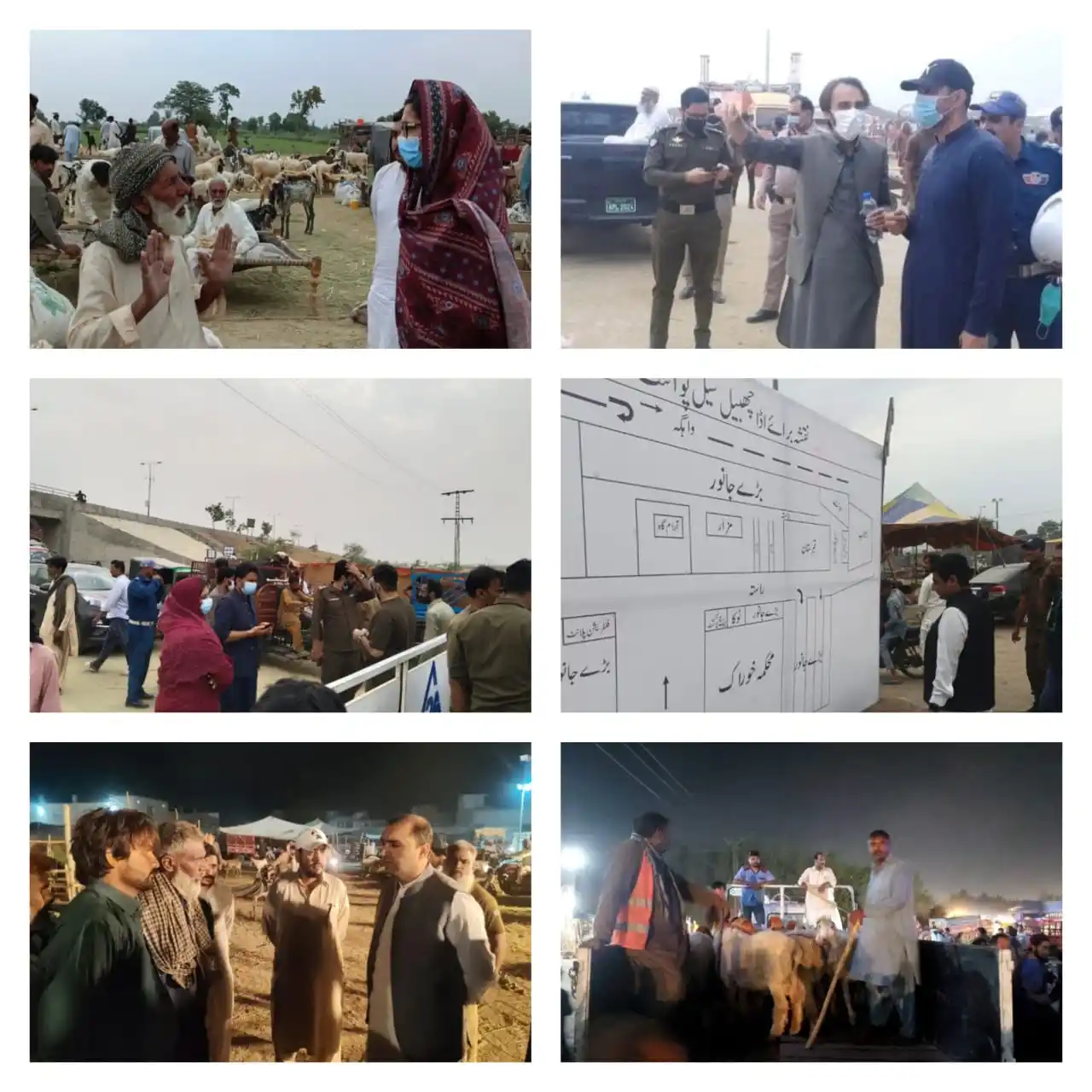 Image from DC Lahore Official: مویشی منڈیوں میں شاندار انتظامات! ڈپٹی کمشنر سید موسیٰ رضا کی قیادت م...