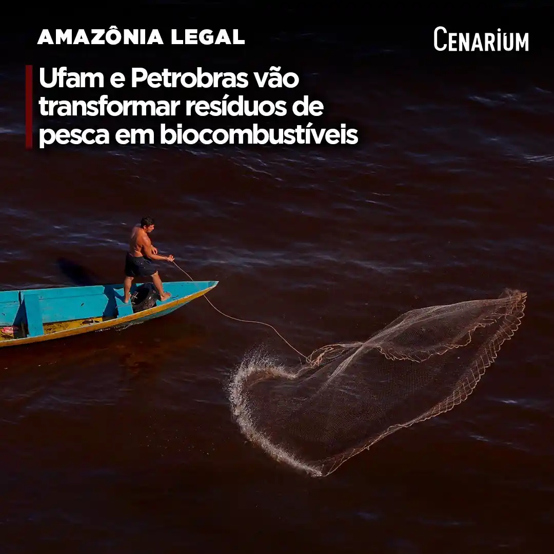 Image from CENARIUM: ➡️ *Ufam e Petrobras vão transformar resíduos de pesca em biocombustív...