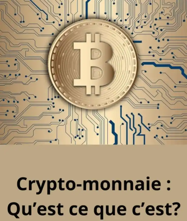 Image from ReussirCrypto: 1️⃣ *💡 Comprendre les bases ₿* _*Les crypto-monnaies sont des actifs...