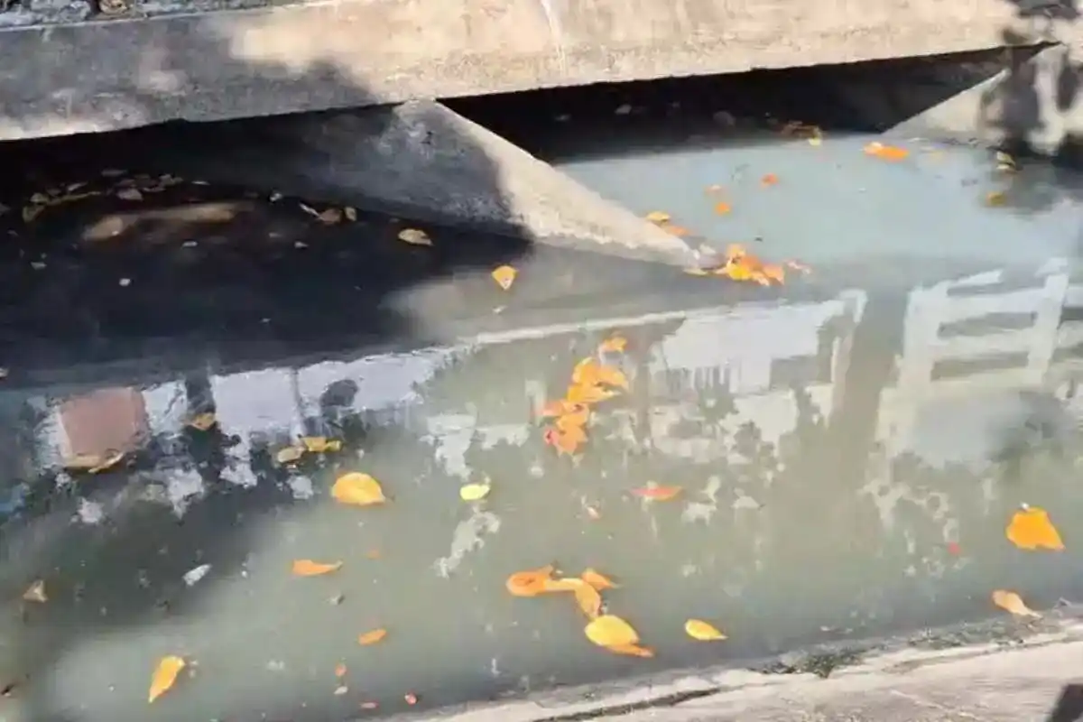 Image from A Tribuna: ⚠️ *Água na cor cinza e mau cheiro afetam canal em Santos e causam rev...