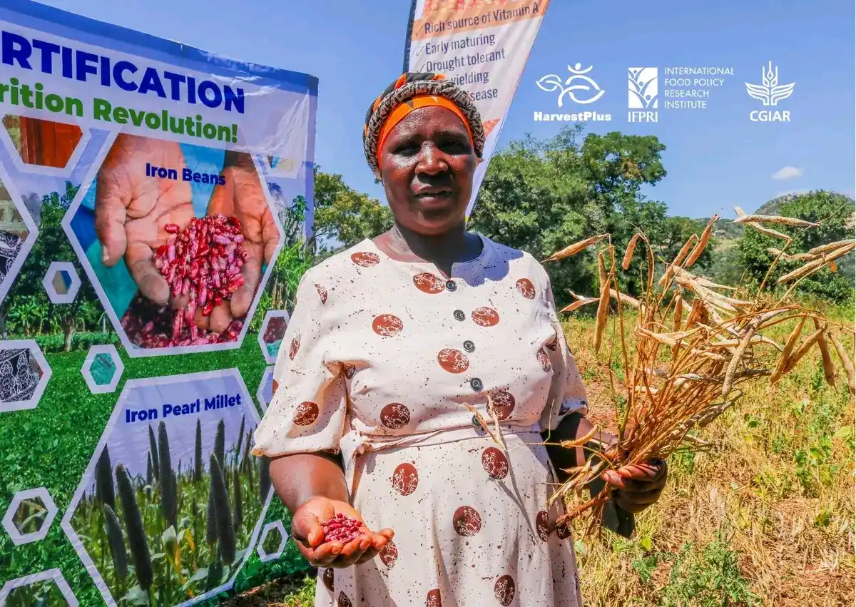 HarvestPlus Zimbabwe post