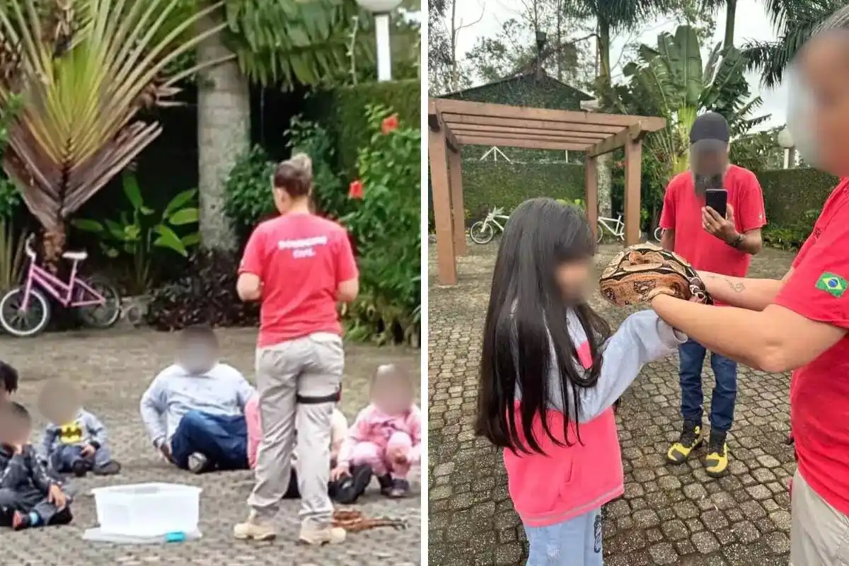 Image from A Tribuna: 🐍 *Quadrilha que usava jiboia para vender falso curso de bombeiro par...