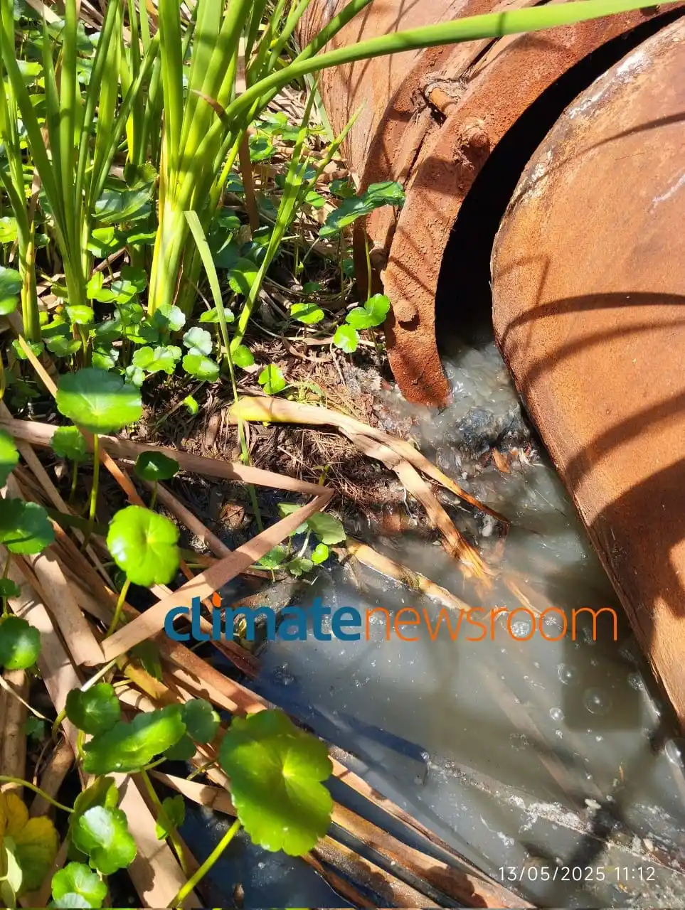 Image from Climate Newsroom: Sewage contamination persists in Harare tributary feeding Lake Chivero...