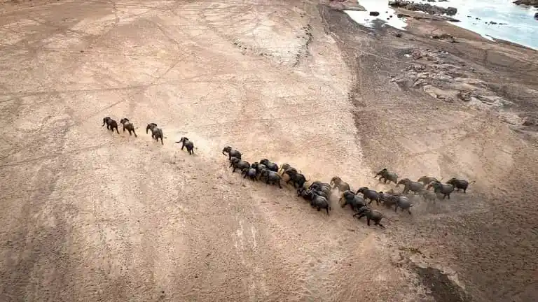 Image from Climate Newsroom: True conservation must be rooted in justice, for communities, wildlife...