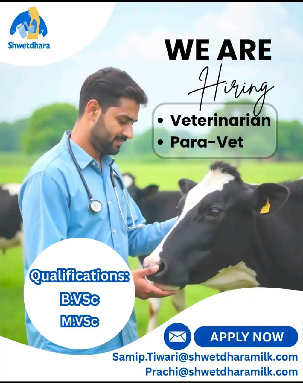 Image from Dairy & Food Jobs Information By AgriMoon: We're Hiring at Shwetdhara! Join our mission to improve animal health ...