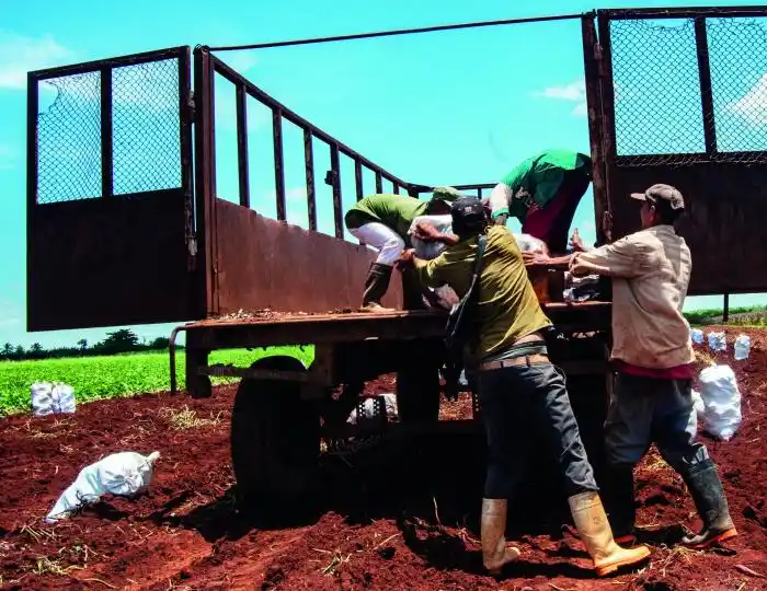 Image from Periódico Granma | Cuba: 📈En el camino de la estabilización económica, urge hacer crecer la pr...