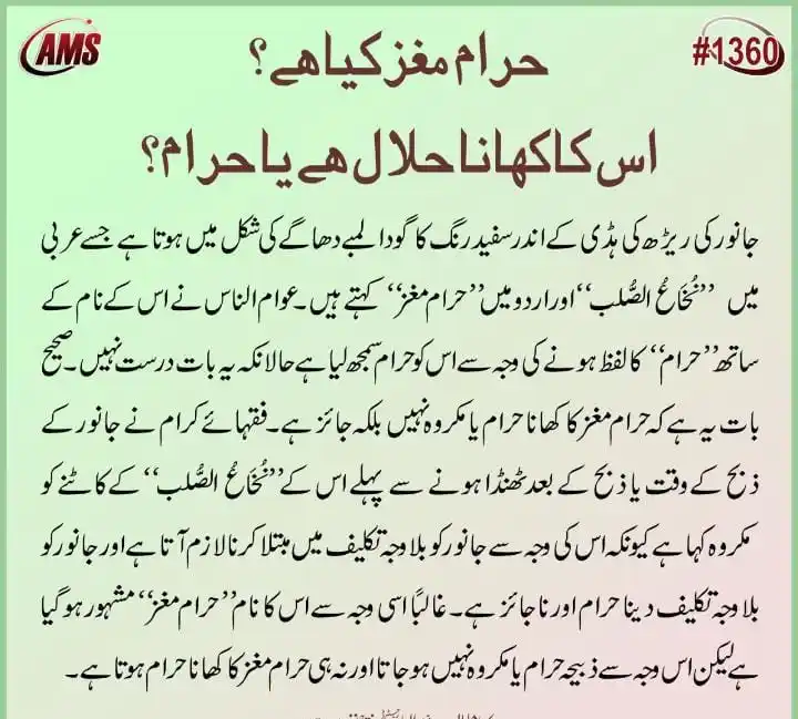 "Message Of Islam'' ,Quran or Hadees, post