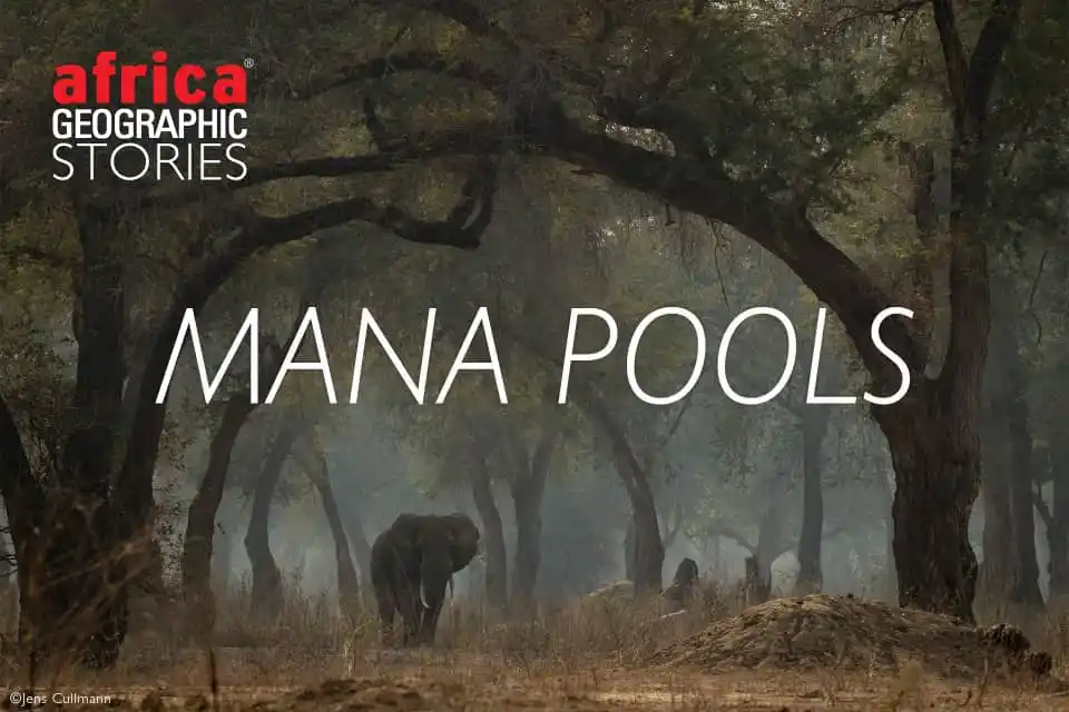 Image from Zim Wildlife and Beautiful Places: `Have you ever been there👇` 🙏 Not Yet 👍Yes *🌍✨ The Most Amazing...