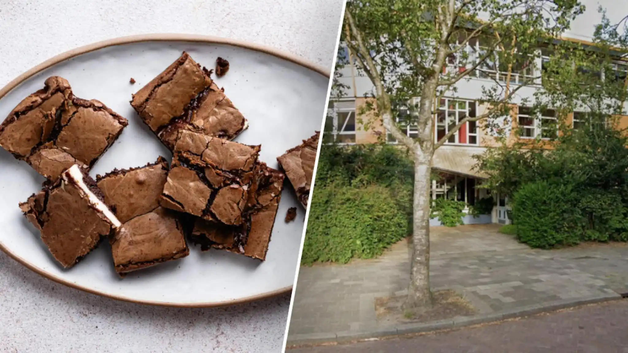 Image from RTL Nieuws: *Leerlingen Groningse basisschool ziek na eten paddo-brownies* Elf lee...