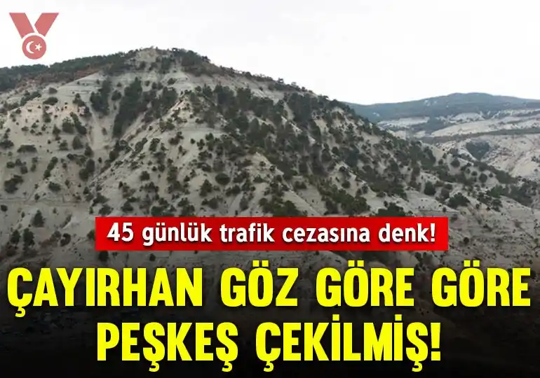 Image from Veryansın Tv: Özelleştirilen Çayırhan’ın satıldığı fiyat 45 günlük trafik cezasına d...