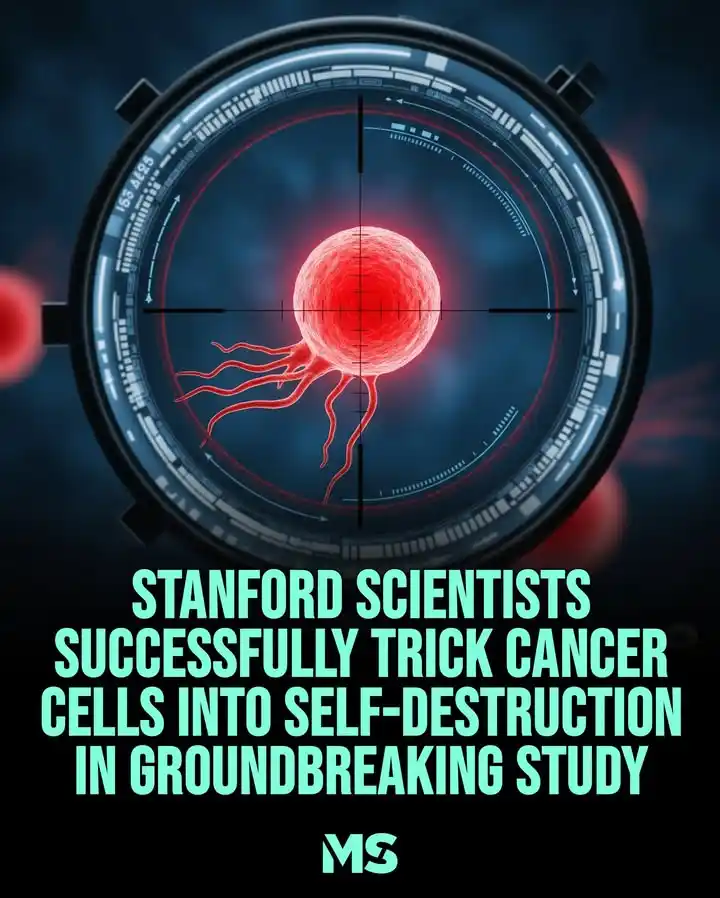 Image from ONCO INTELLIGENCE: This could change everything. In a stunning breakthrough, **Stanford ...