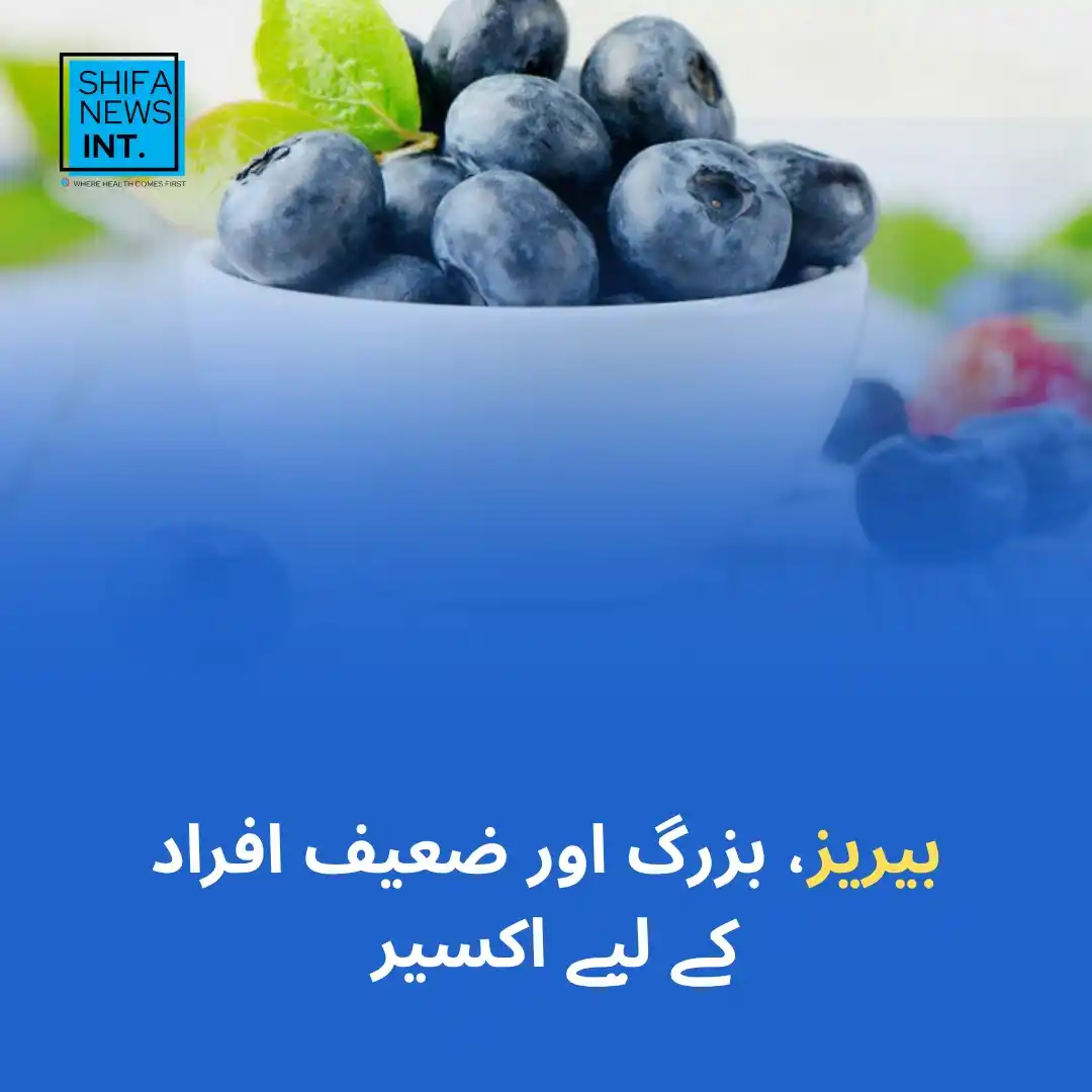 Image from Shifa News - Digital Health Platform: 1️⃣ امریکہ میں کی گئی ایک طویل تحقیق سے معلوم ہوا ہے کہ بیریز بزرگ افر...