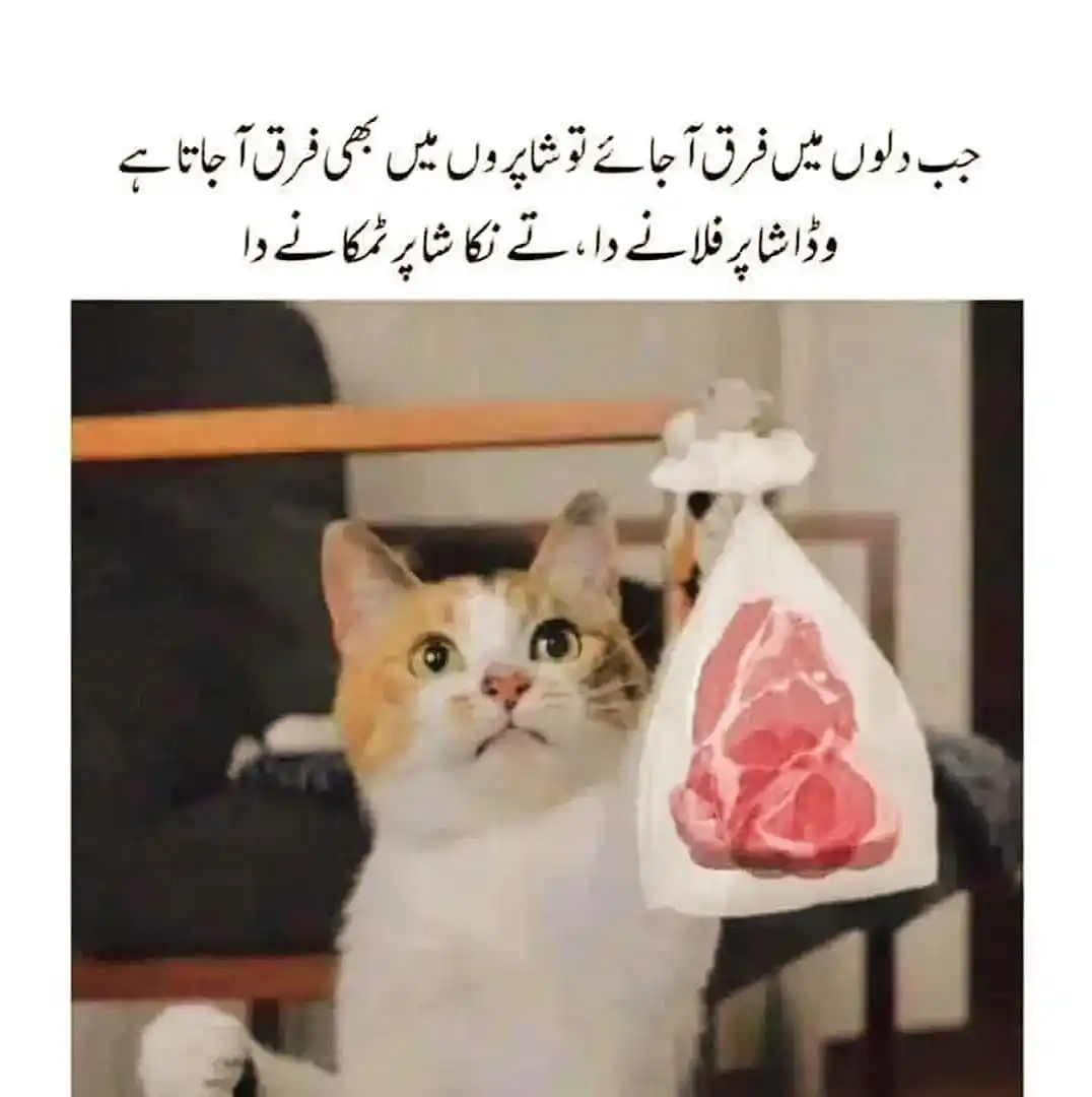 وتعاونوا علي البر والتقوى post