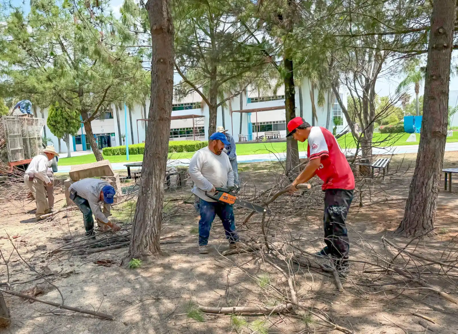 Image from VIA NOTICIAS: 👷🏻♂️🌧️ Gobierno de <a class="text-blue-500 hover:underline cursor-...