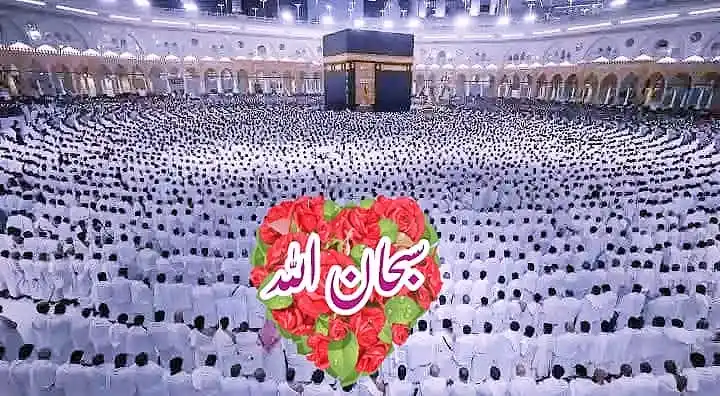 وتعاونوا علي البر والتقوى post