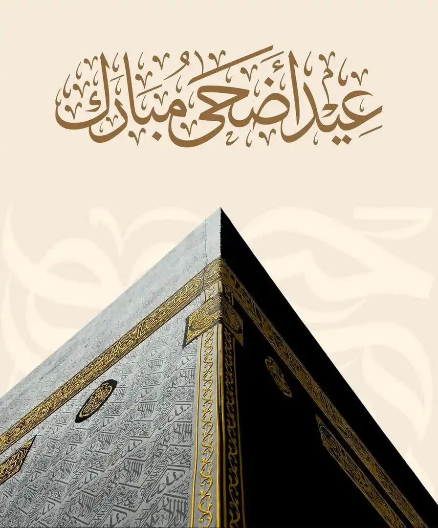 حفیدات عائشة🔻 post