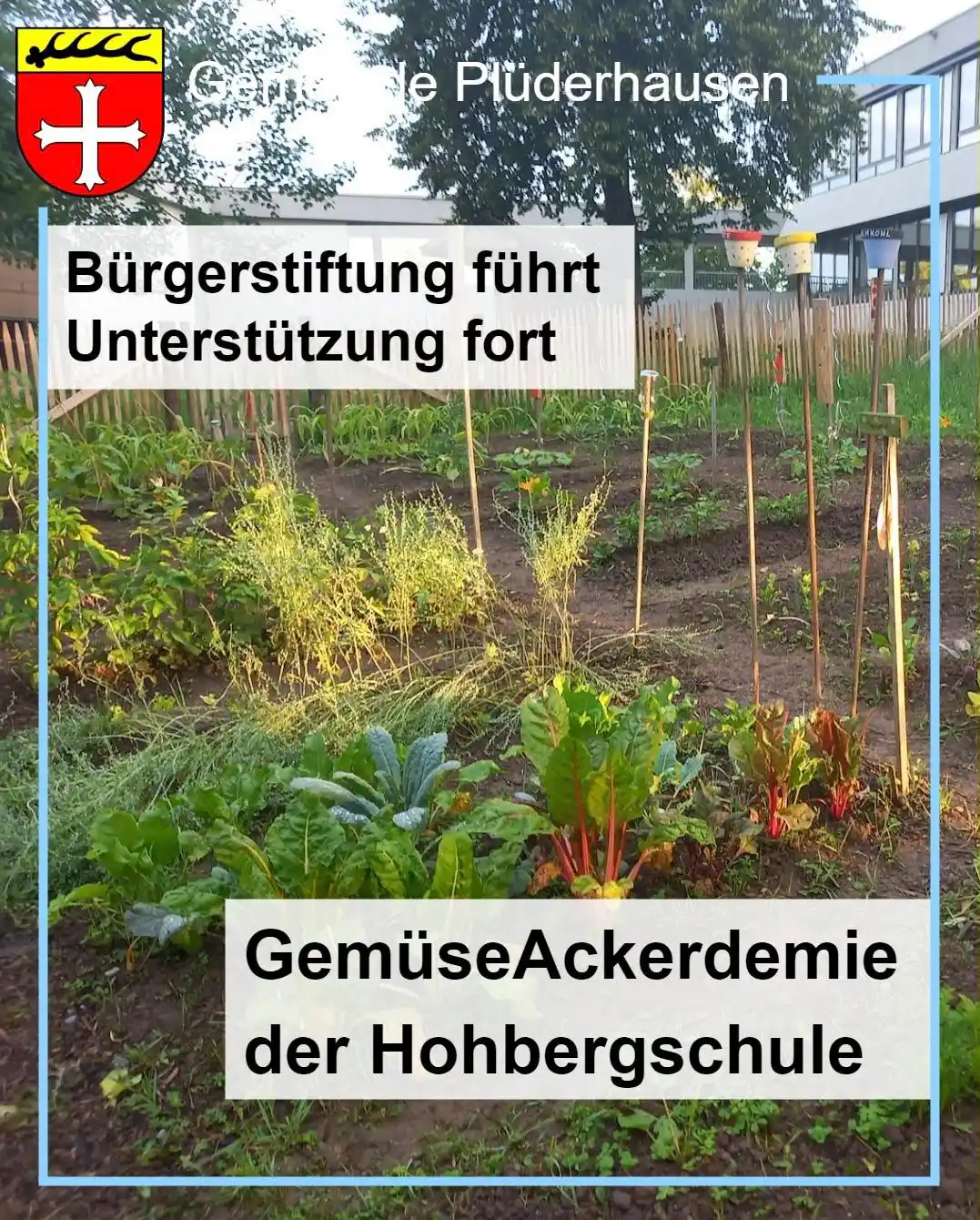 Image from Gemeinde Plüderhausen: Die Hohbergschule ist mit ihrer GemüseAckerdemie ins zweite Jahr gesta...