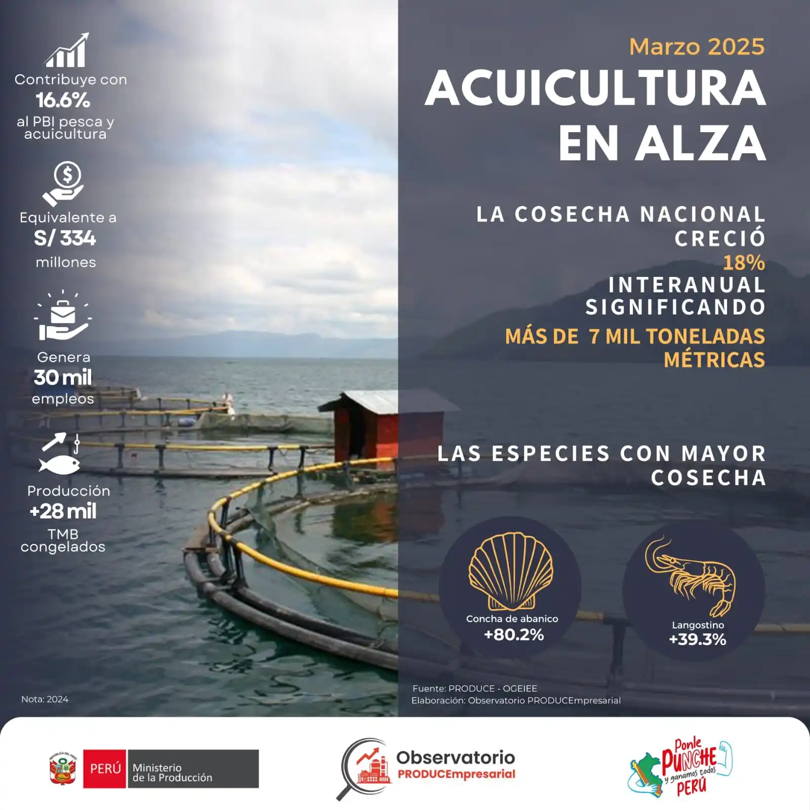 Image from PRODUCEmpresarial - Ministerio de la Producción: 🌊 *¡La acuicultura peruana no se detiene!* 🚀 Marzo 2025, *registra u...