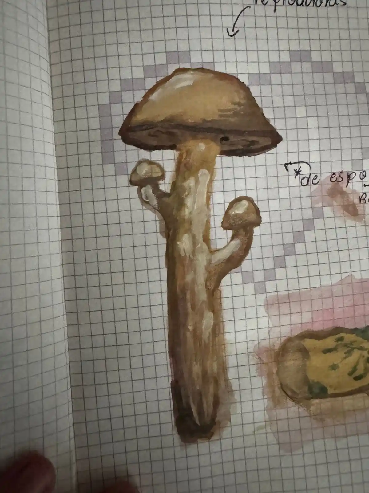 Image from 𖥻 ִ ᩭ♡ ֺ 𝗬մ𝗶 𝗭ִ𝗜ׁ𝗣̷̶ × ׅ ꛆⲓ͡ɑׁr̫ყ ֺ ू🧢᭪: Oliem meu fungo da aula de biologia...