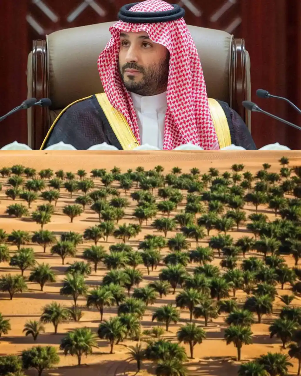 Image from Ceramah Ustaz dan Ustazah: "Saudi nak tanam 10 bilion pokok, mampu ke?" Arab Saudi umum nak tan...