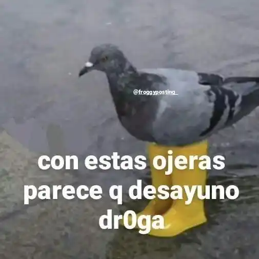 ㅤㅤ𨈇, ㅤㅤ𓆤ㅤㅤ 𝐕𝝣̷̸𝐑𝐒̶̤𝐎̷̸𝐒̶̤
ㅤㅤ  㜛🈦 ㅤㅤ𝗗𝝣𝐋̷̸ㅤㅤ𓏸𓏸
    ㅤ 𝝠̸̷𝐋̷̸𝐌̶𝝠̸̷ ㅤㅤ𝟭𝟵° post