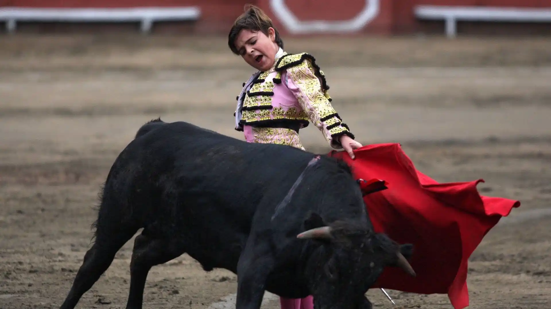 Image from AnimaNaturalis: 🏛👧🏻🐂 El Grupo Parlamentario Podemos-IU presentó el pasado jueves, ...