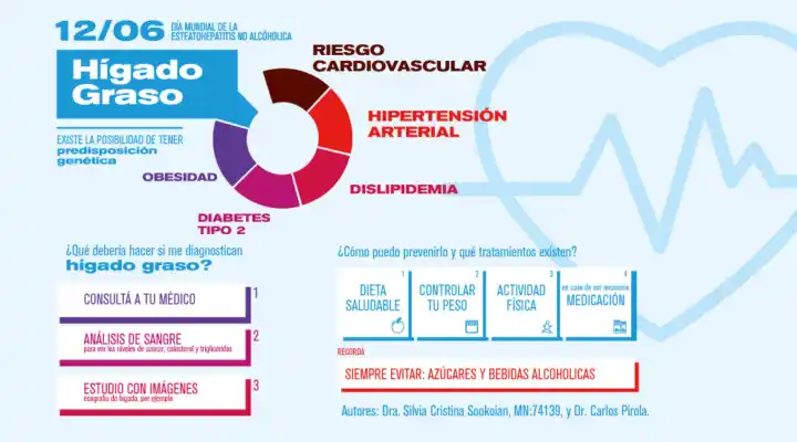 Image from Noticias del Colegio de Farmacéuticos de la provincia de Buenos Aires: Hoy 12 de junio se conmemora el *Día Mundial del Hígado graso no alcoh...