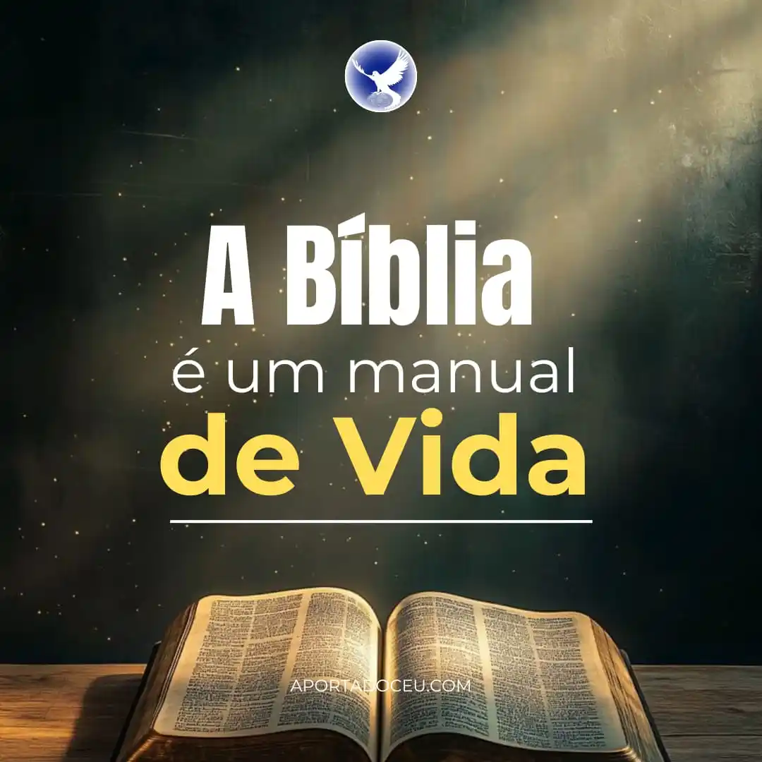 Image from APOCALIPSE EM AÇÃO ⚔️: 🌾 *Shalom, povo precioso do Senhor!* 🔸 *O Evangelho Eterno traz uma...