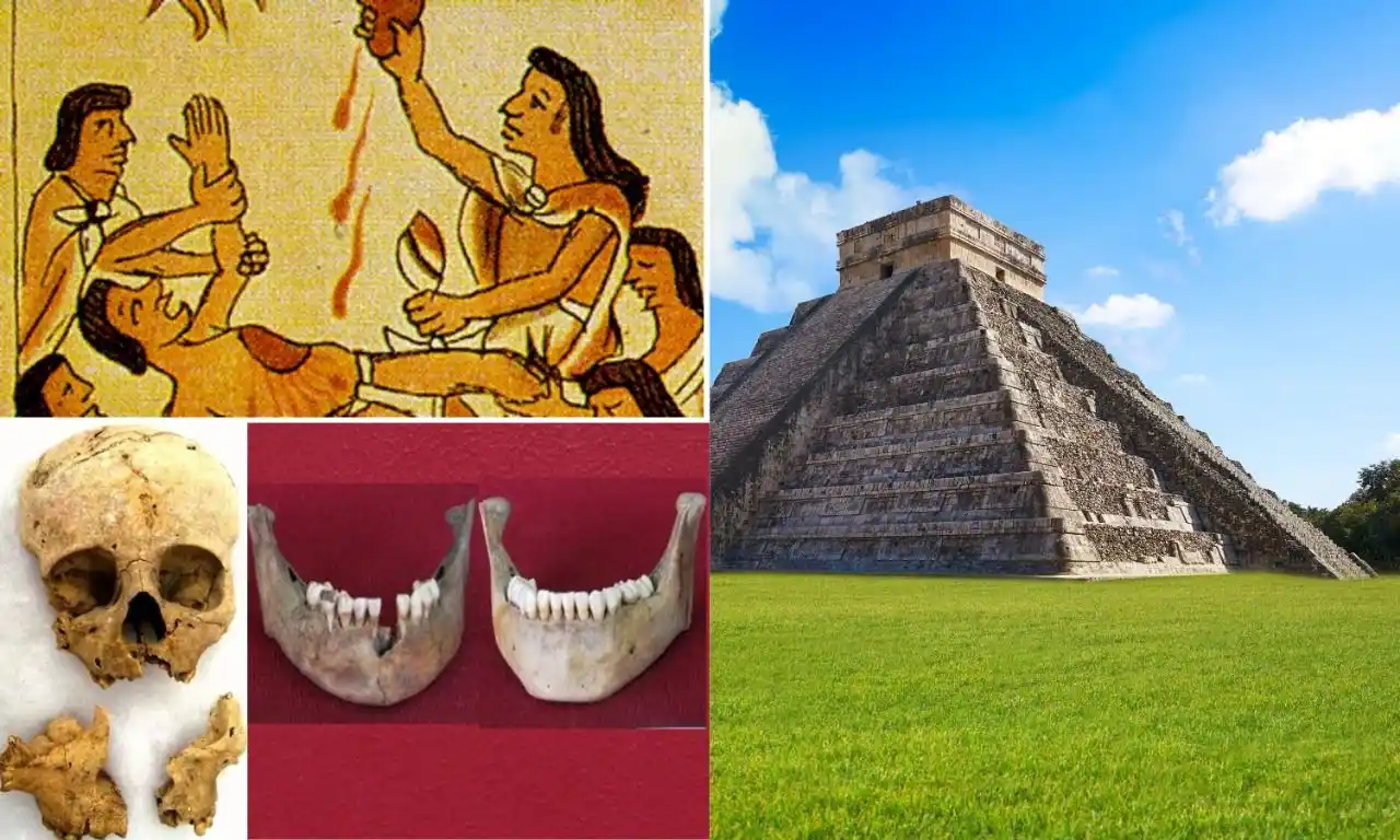Image from Diario de Yucatán: *_Niños sacrificados en Chichén Itzá, ¿no eran mayas?_* 🗿 De 200 res...