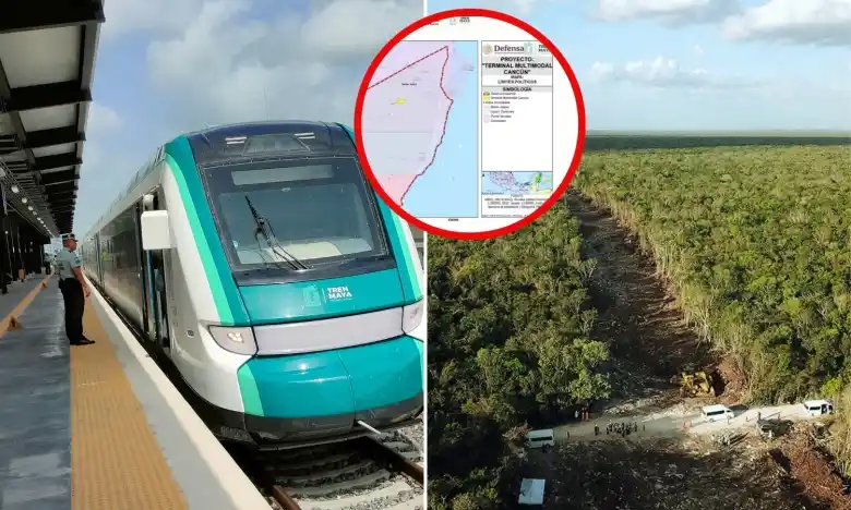 Image from Diario de Yucatán: 🚧 *Tren Maya de carga: ¿cuánta selva será talada en Cancún?* A mes y...