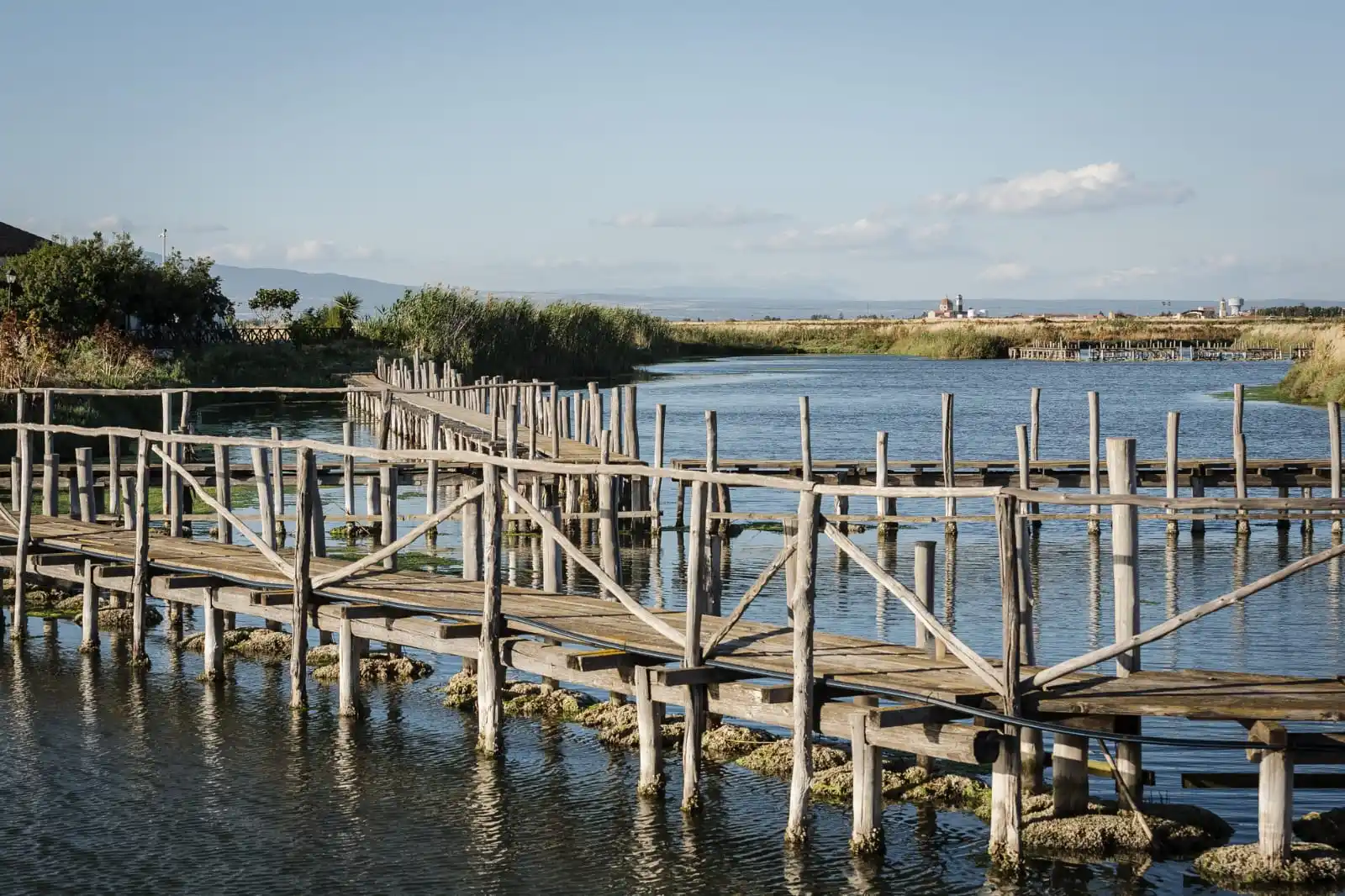 Image from Aristanis TV: Cormorani, flagello delle lagune: pescatori in ginocchio, risarcimenti...