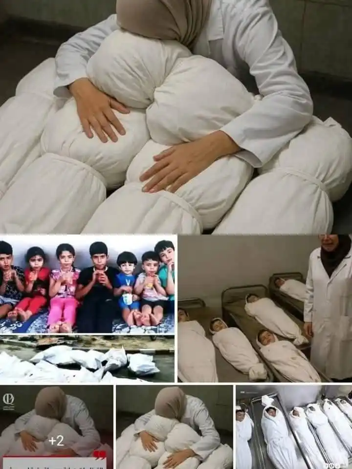 Pak-Palestine Forum post