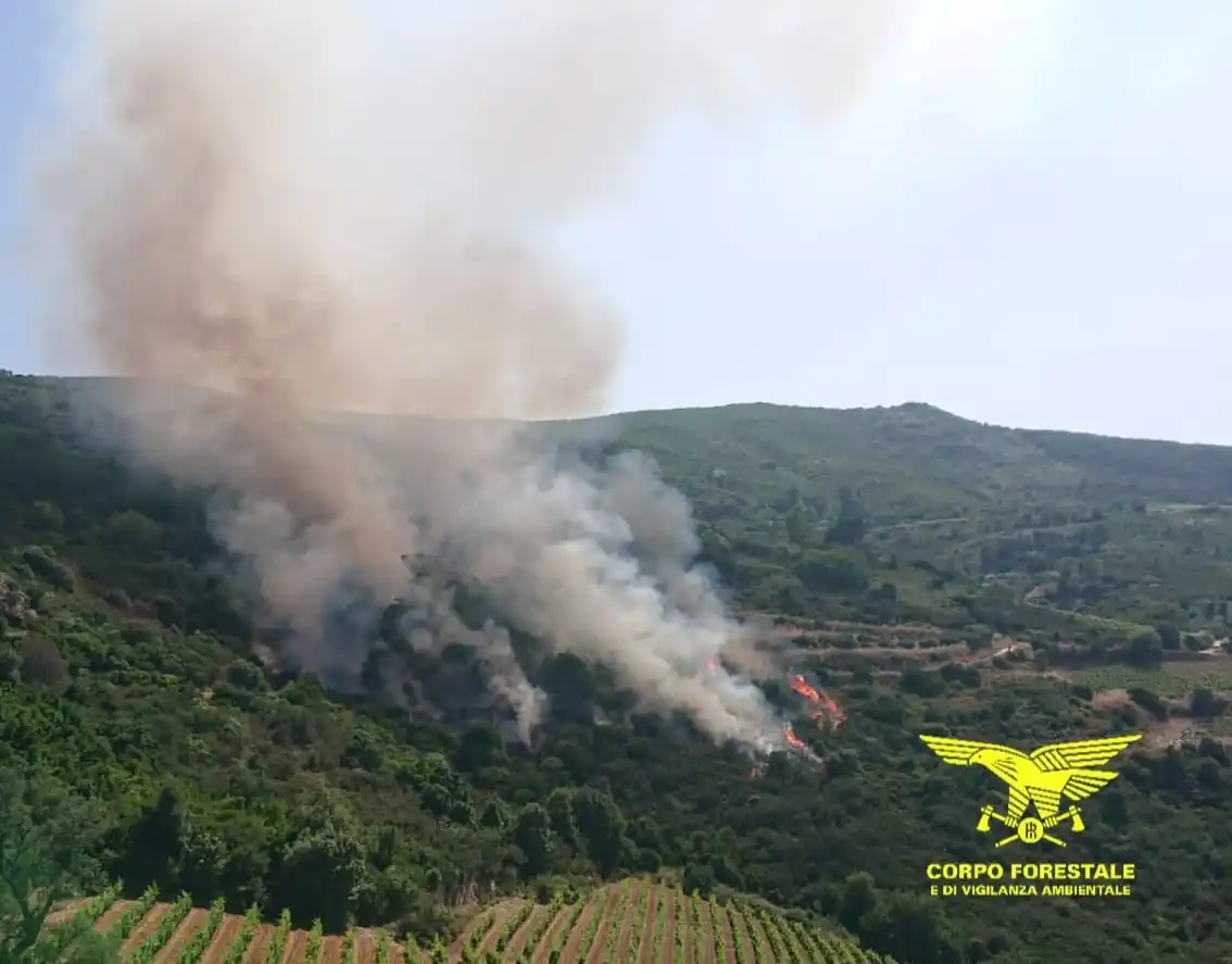 Image from Aristanis TV: Giornata di fuoco in Sardegna: 25 incendi, 4 con l’intervento dei mezz...