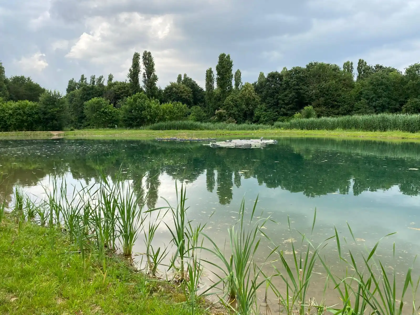 Image from Comune di Cinisello Balsamo: Inaugurato oggi, nella Giornata Mondiale dell'Ambiente, il nuovo lago ...