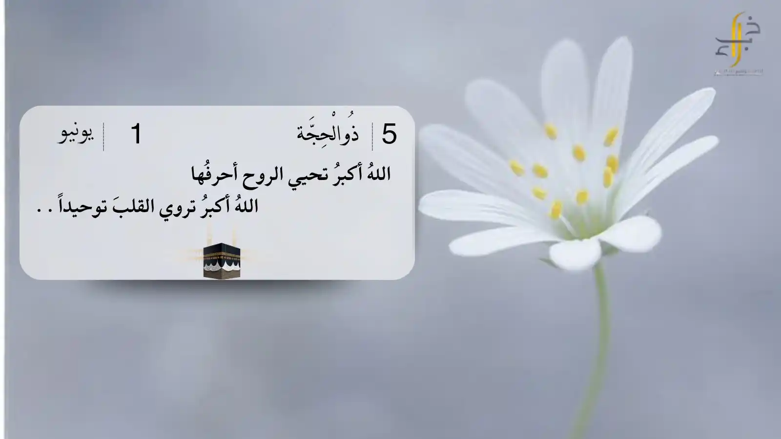 Image from شركة خبراء لحاضنات ومسرعات الأعمال: <a class="text-blue-500 hover:underline cursor-pointer" href="/hashtag...