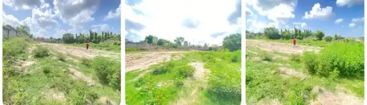 Image from THE BEAR - LEARN AND CONQUER (BLC): *1. Biashara ya Uuzaji wa Viwanja (Real Estate)* Uuzaji wa viwanja n...