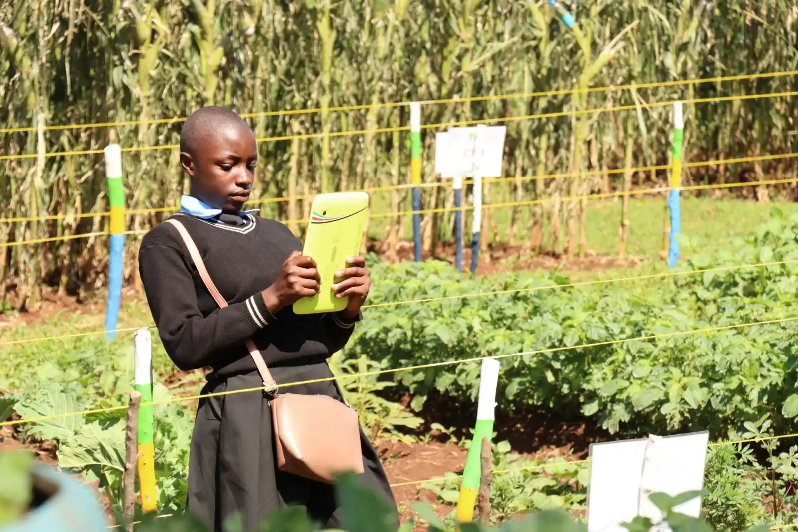 Image from ADS Western Channel: 4K Clubs play a vital role in shaping young students by enhancing thei...