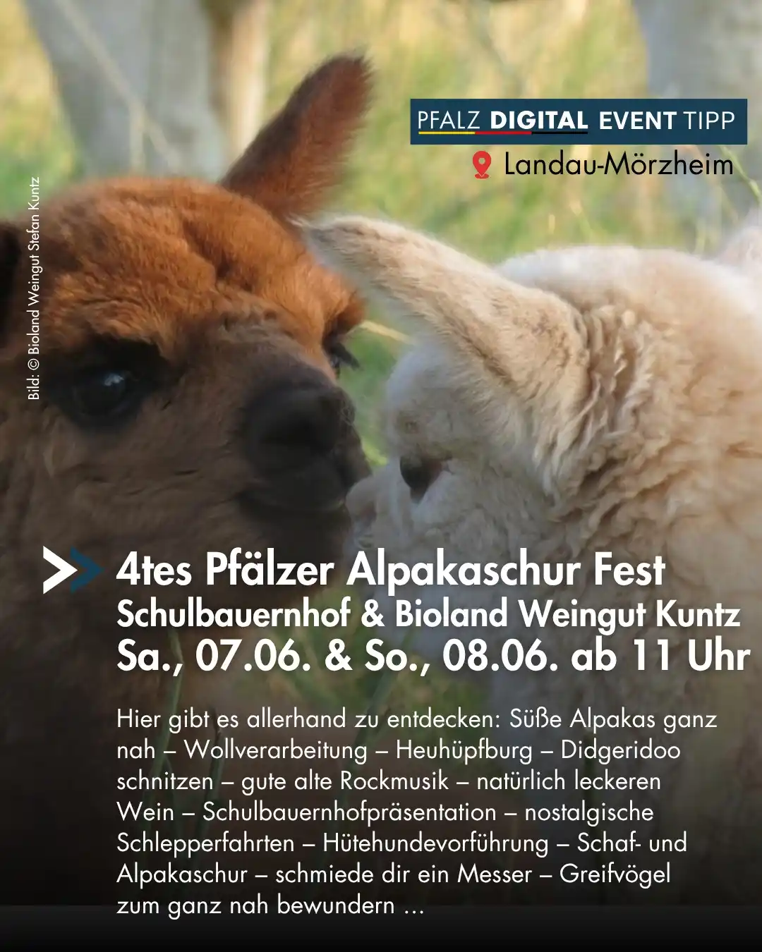 Image from Pfalz Digital: π¦π¦ *ππ₯ππ€ βπΓ€ππ«ππ£ πΈππ‘πππ ππππ¦π£ π½ππ€π₯* π¦π¦ Es...